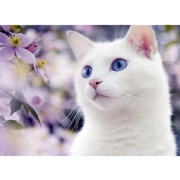 5D DİY Elmas Boyama beyaz Kedi Elmas Nakış sevimli yavru Tam matkap Resim Rhinestone Mozaik çiçek dekorasyonu Ev