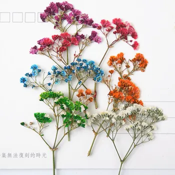 8 adet/torba Mix Preslenmiş Çiçek Küçük Kurutulmuş Çiçekler Gypsophila Sabun Mum Yapımı Dekorasyon DIY Süs Scrapbooking