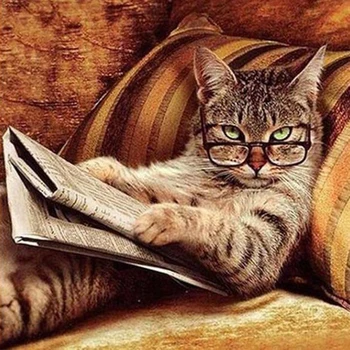 DİY Elmas Boyama gözlük Komik kedi Tam Kare daire Matkap Mozaik Elmas Nakış Çapraz Dikiş Ev Dekor El Yapımı Hediye