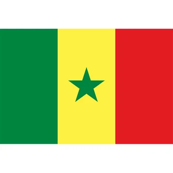 Yehoy asılı 90X150cm Senegal Cumhuriyeti Bayrağı Dekorasyon İçin